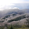 霧氷の樽前山