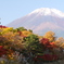 紅葉と富士山