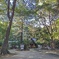 氷川女體神社の森