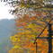 秋だな➀