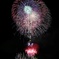 にし阿波の花火2025 (5)