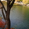紅葉の沼沢湖
