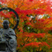 瑞巌寺の紅葉