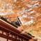 延暦寺と紅葉
