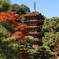 紅葉と五重の塔