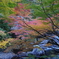 昇仙峡の紅葉