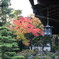寺と紅葉