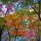 昇仙峡のカラフルな紅葉