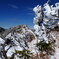 霧氷の花咲く谷川岳