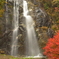 紅葉の不動滝