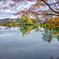 湖の秋