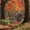 紅葉の小径