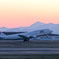 JAL/B4夕暮れの旅立ち