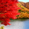 紅葉真っ盛りのもみじ湖