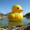 ラバーダック3