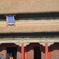 DSC00342