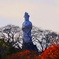 紅葉と観音様