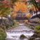 秘湯の紅葉＃２