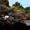 長谷寺　秋景色