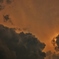 ゲリラ雲