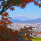 紅葉のむこうの富士