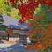 紅葉の寺