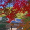 寺の紅葉