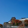 福知山城と紅葉