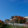 福知山城と紅葉