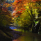 紅葉の渓流