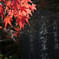 紅葉と石碑
