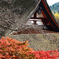 談山神社紅葉5
