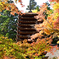 談山神社紅葉6