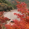 重源の郷の紅葉3