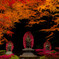 不動明王と紅葉