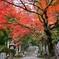 最乗寺紅葉