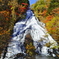 紅葉と湯滝