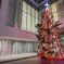 長野駅東口清泉女学院のクリスマスツリー　2024/11