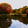中ノ池紅葉