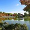 昭和記念公園の秋