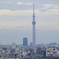 スカイツリーが見えます