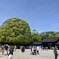 明治神宮