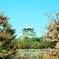 秋晴れ大阪城
