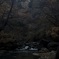 秋の渓流