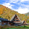 合掌造り紅葉山並み