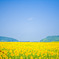 夏休み