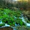 苔の河原