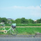 旅に出よう。
