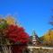 Korea紀行(釜山梵魚寺の紅葉)