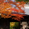 仙台 輪王寺 色付く山門